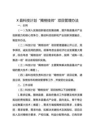 X县科技计划“揭榜挂帅”项目管理办法