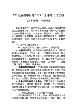 XX自治县审计局2025年上半年工作总结及下半年工作计划