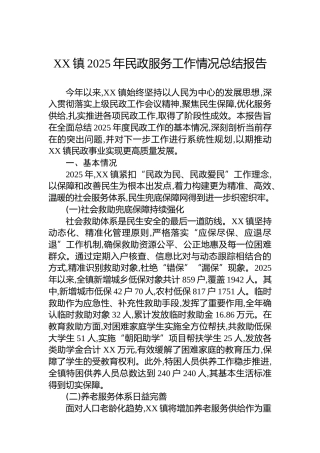 XX镇2025年民政服务工作情况总结报告