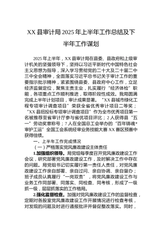 XX县审计局2025年上半年工作总结及下半年工作谋划