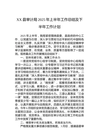 XX县审计局2025年上半年工作总结及下半年工作计划