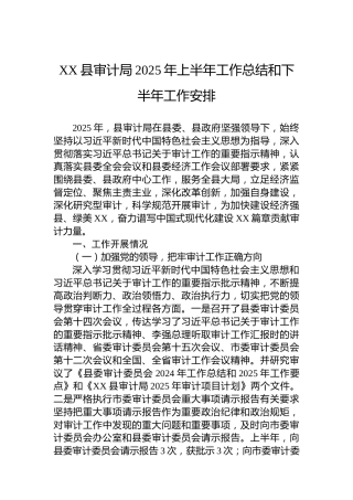 XX县审计局2025年上半年工作总结和下半年工作安排