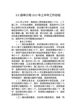XX县审计局2025年上半年工作总结