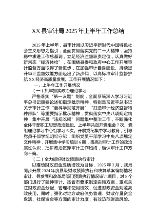XX县审计局2025年上半年工作总结(1)