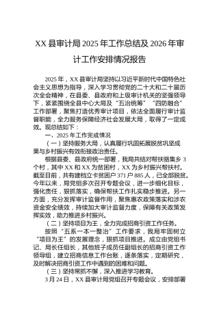 XX县审计局2025年工作总结及2026年审计工作安排情况报告