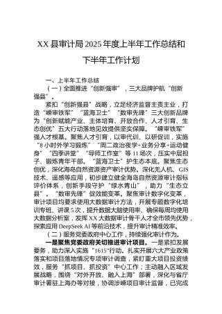 XX县审计局2025年度上半年工作总结和下半年工作计划