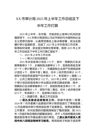 XX市审计局2025年上半年工作总结及下半年工作打算