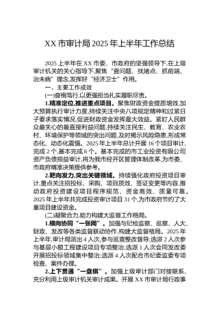 XX市审计局2025年上半年工作总结