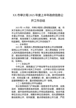 XX市审计局2025年度上半年政府信息公开工作总结