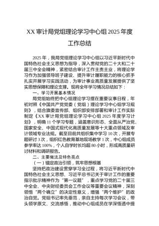 XX审计局党组理论学习中心组2025年度工作总结