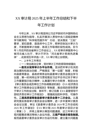 XX审计局2025年上半年工作总结和下半年工作计划