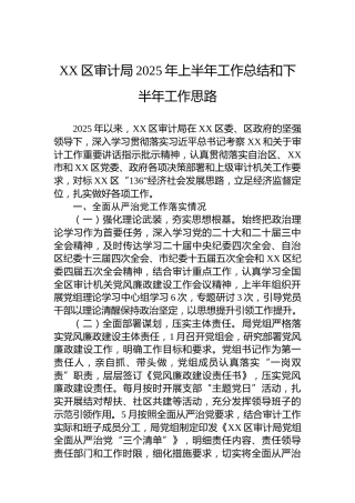 XX区审计局2025年上半年工作总结和下半年工作思路