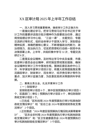 XX区审计局2025年上半年工作总结