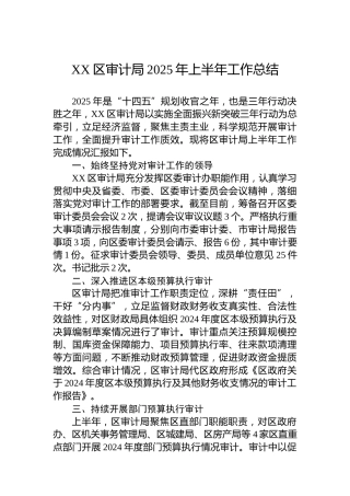 XX区审计局2025年上半年工作总结(1)
