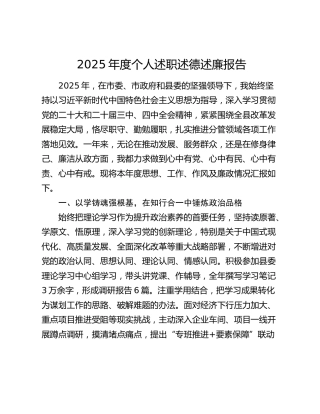 2025年度个人述职述德述廉报告
