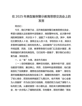 在2025年典型案例警示教育思想交流会上的发言