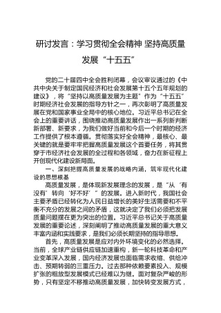 研讨发言：学习贯彻全会精神坚持高质量发展“十五五”