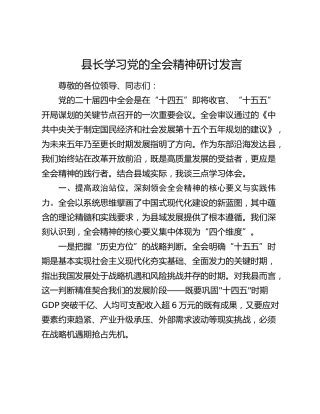 县长学习党的二十届四中全会精神研讨发言