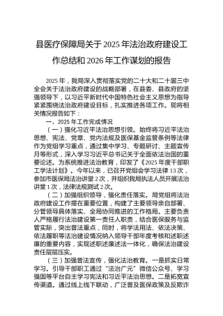 县医疗保障局关于2025年法治政府建设工作总结和2026年工作谋划的报告