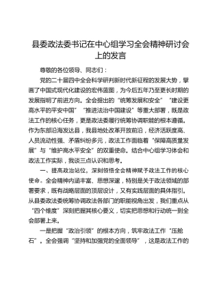 县委政法委书记在中心组学习四中全会精神研讨会上的发言