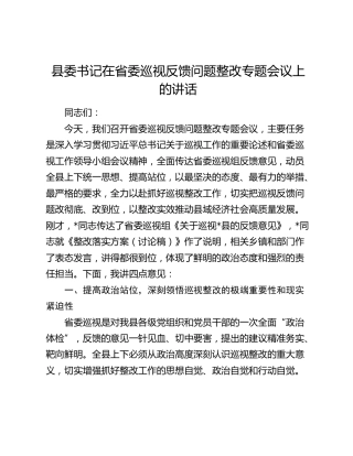 县委书记在省委巡视反馈问题整改专题会议上的讲话