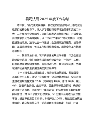 县司法局2025年度工作总结