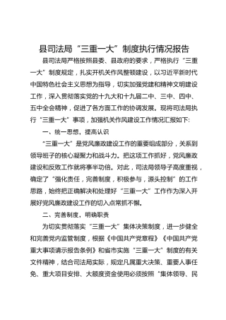 县司法局“三重一大”制度执行情况报告