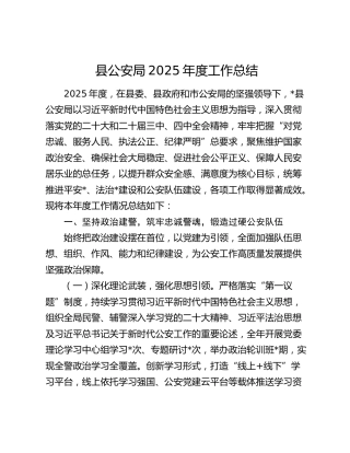 县公安局2025年度工作总结