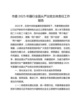 市委2025年履行全面从严治党主体责任工作报告
