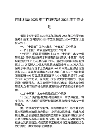 市水利局2025年工作总结及2026年工作计划