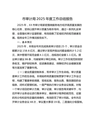 市审计局2025年度工作总结报告