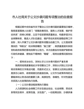 市人社局关于公文抄袭问题专项整治的自查报告