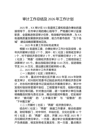 审计工作总结及2026年工作计划