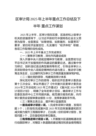 区审计局2025年上半年重点工作总结及下半年重点工作谋划