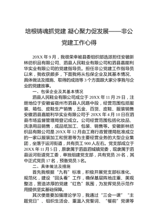 培根铸魂抓党建凝心聚力促发展——非公党建工作心得