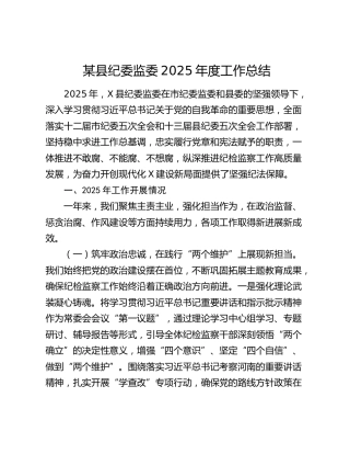 某县纪委监委2025年度工作总结