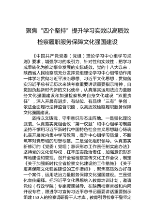 聚焦“四个坚持”提升学习实效以高质效检察履职服务保障文化强国建设