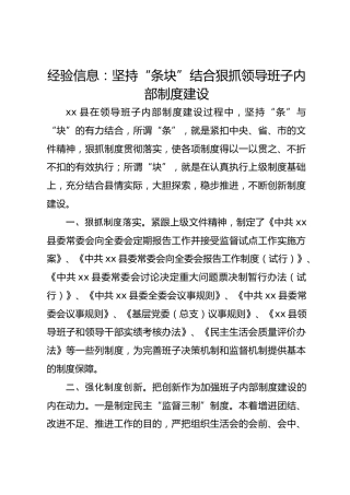 经验信息：坚持“条块”结合狠抓领导班子内部制度建设