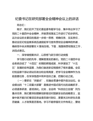 纪委书记在研究部署四中全会精神会议上的讲话
