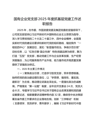 国有企业党支部2025年度抓基层党建工作述职报告
