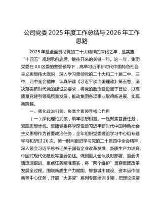 公司党委2025年度工作总结与2026年工作思路