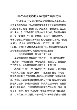 乡镇抓党建促乡村振兴典型经验总结汇报