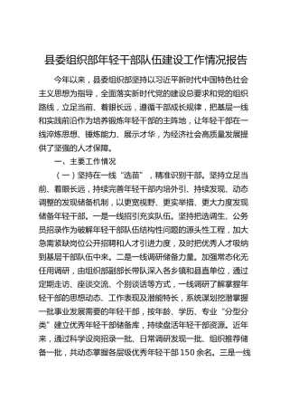 县委组织部年轻干部队伍建设工作情况总结报告