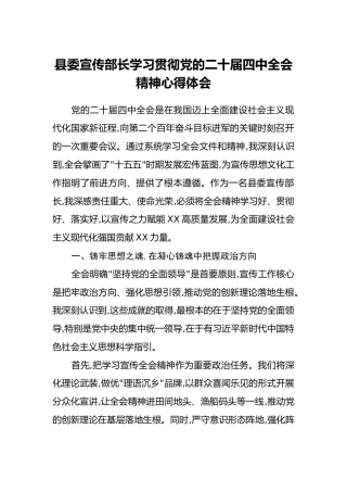 县委宣传部长学习贯彻党的二十届四中全会精神心得体会