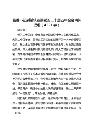 县委书记到某镇宣讲党的二十届四中全会精神提纲