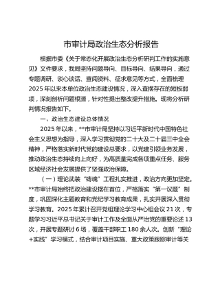 市审计局政治生态分析报告