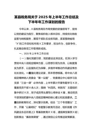 某县税务局关于2025年上半年工作总结及下半年年工作谋划的报告