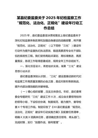 某县纪委监委关于2025年纪检监察工作“规范化、法治化、正规化”建设年行动工作总结