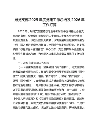 局党支部2025年度党建工作总结及2026年工作打算