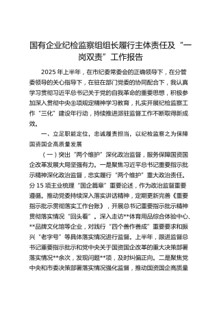 国企纪检监察组组长履行主体责任及“一岗双责”工作报告（公司个人总结）